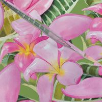 Frangipani (Plumeria) Large Print 