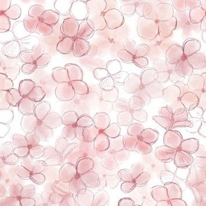 Hydrangeas  Cherry Blossom Pink  Medium