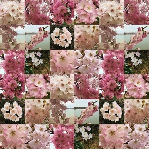 cherry blossom 2019 patchwork