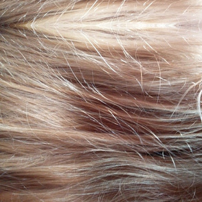 Blond Hair - Wig