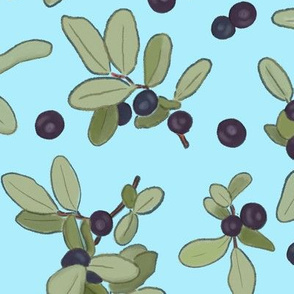 Large Scale Huckleberries on Blue