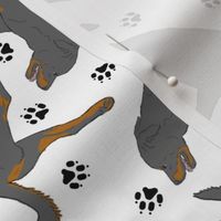 Trotting undocked Rottweiler and paw prints - white