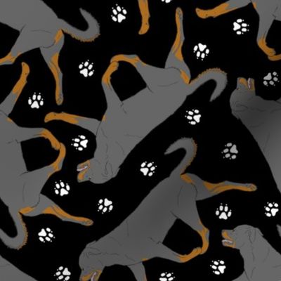 Trotting undocked Rottweiler and paw prints - black