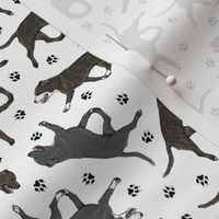 Tiny Trotting brindle and black Staffordshire Bull Terriers and paw prints - white