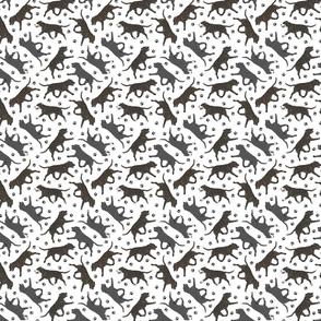 Tiny Trotting brindle and black Staffordshire Bull Terriers and paw prints - white