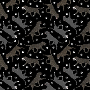 Trotting brindle and black Staffordshire Bull Terriers and paw prints - black
