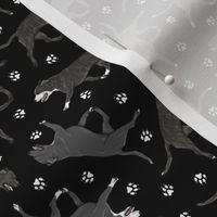 Tiny Trotting brindle and black Staffordshire Bull Terriers and paw prints - black
