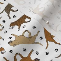 Tiny Trotting red Staffordshire Bull Terriers and paw prints - white