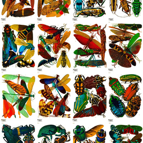 E.A. Séguy Insectes Large format