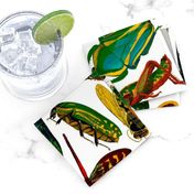 E.A. Séguy Insectes Assorted Large