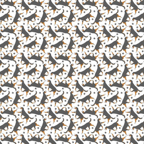 Tiny Trotting tailed Entlebucher mountain dog and paw prints - white