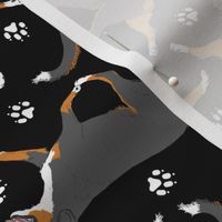 Trotting tailed Entlebucher mountain dog and paw prints - black