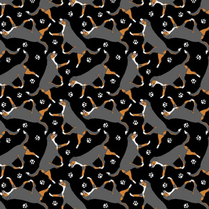 Trotting tailed Entlebucher mountain dog and paw prints - black