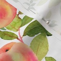 Watercolor Peaches // Medium // White