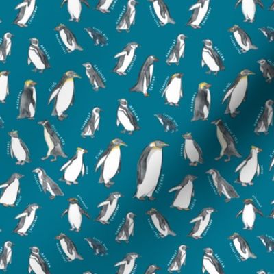 Small Scale World Penguins on Blue