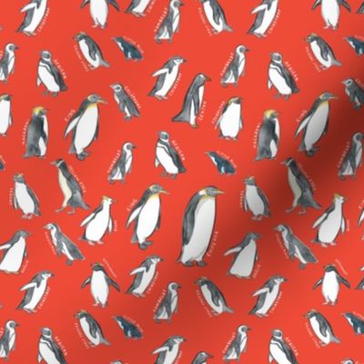 Small Scale World Penguins on Red