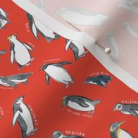 Small Scale World Penguins on Red