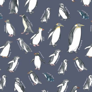 Medium Scale World Penguins on Dusty Blue
