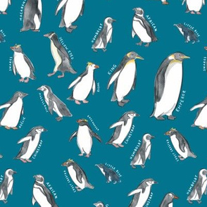 Medium Scale World Penguins on Blue