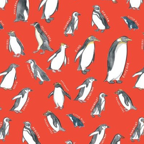 Medium Scale World Penguins on Red
