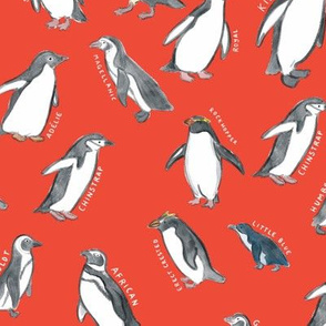 Large Scale World Penguins on Red