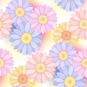 color daisies