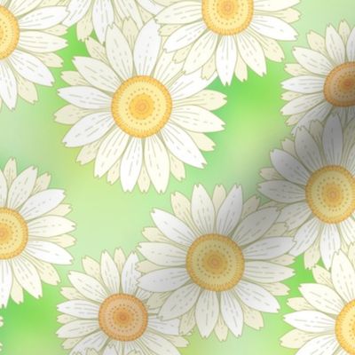 daisies on green