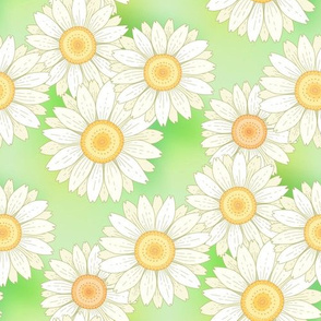 daisies on green