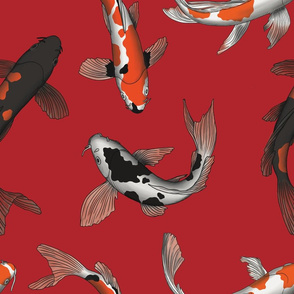 Asian Koi Fish Art on Red Background Larger Version