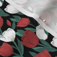 Red and White Tulips // small