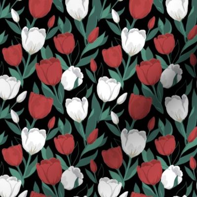 Red and White Tulips // small