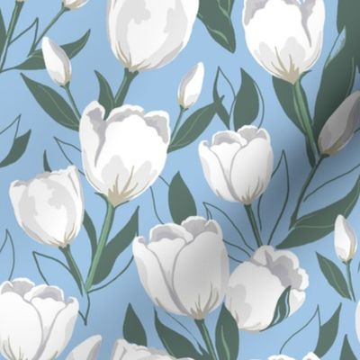 White tulips on sky blue