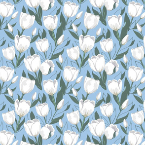 White tulips on sky blue