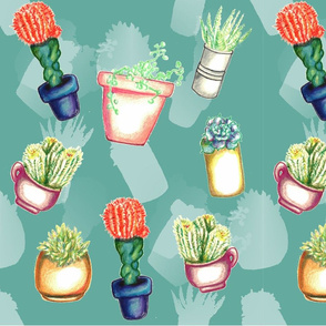 Quirky Succulents