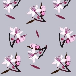 cherry blossoms on grey