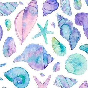 Colourful Seashells