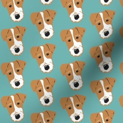 Wire Fox Terrier - Jack Russell Terrier -  tan and aqua