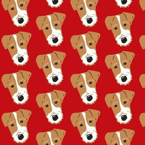Wire Fox Terrier - Jack Russell Terrier - tan and red