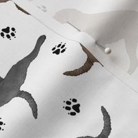 Trotting Curly Coated Retrievers and paw prints - white