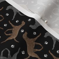 Tiny Trotting Curly Coated Retrievers and paw prints - black