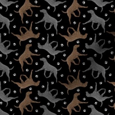 Tiny Trotting Curly Coated Retrievers and paw prints - black