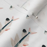 Flying fish wallpaper 