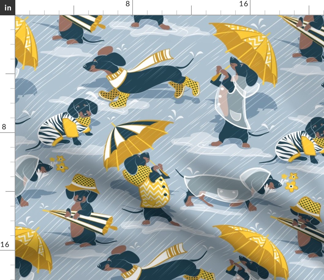 Normal scale // Ready For a Rainy Walk // pastel blue background navy blue dachshunds dogs with yellow and transparent rain coats and umbrellas