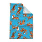 Tigers Dancing on Blue Background and Orange Animal Print Champs on Fading or Gradient Background