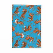 Tigers Dancing on Blue Background and Orange Animal Print Champs on Fading or Gradient Background