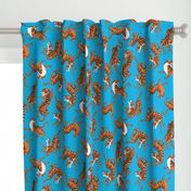 Tigers Dancing on Blue Background and Orange Animal Print Champs on Fading or Gradient Background