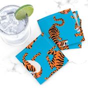 Tigers Dancing on Blue Background and Orange Animal Print Champs on Fading or Gradient Background