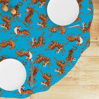 Tigers Dancing on Blue Background and Orange Animal Print Champs on Fading or Gradient Background