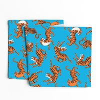 Tigers Dancing on Blue Background and Orange Animal Print Champs on Fading or Gradient Background