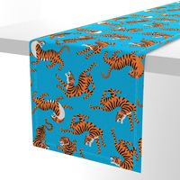 Tigers Dancing on Blue Background and Orange Animal Print Champs on Fading or Gradient Background